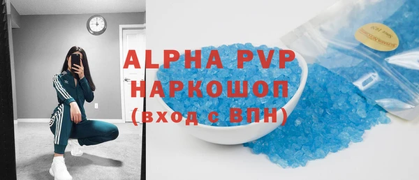 прущие грибы Абинск