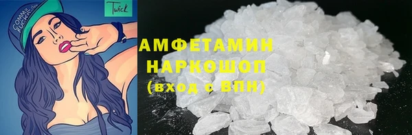 прущие грибы Абинск
