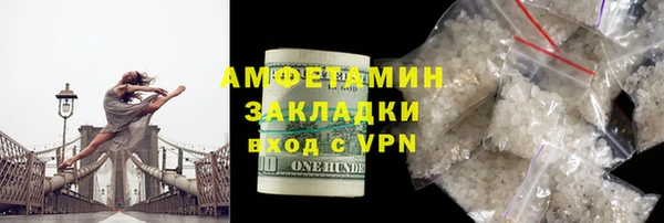 прущие грибы Абинск