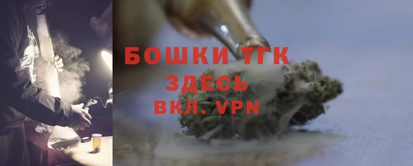 прущие грибы Абинск